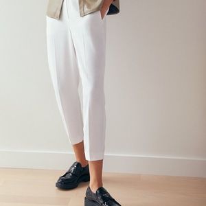 New Babaton Conan Pant (Aritzia)